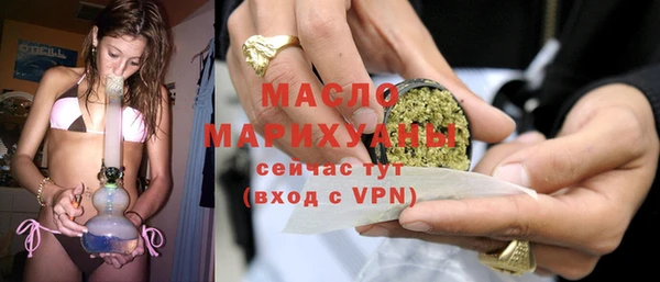 индика Кострома
