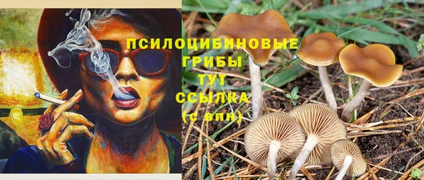 прущая мука Лихославль