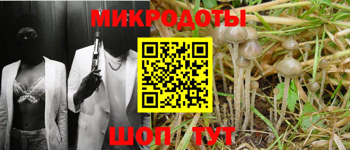 Галлюциногенные грибы Psilocybine cubensis Добрянка
