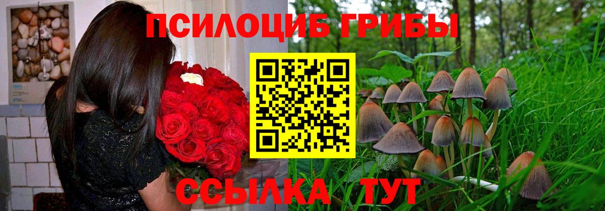 Добрянка  Псилоцибиновые грибы Magic Shrooms  Вход с VPN  Галлюциногенные грибы MAGIC MUSHROOMS 