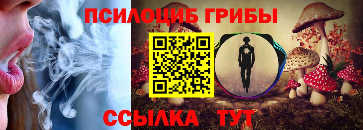 Псилоцибиновые грибы Cubensis Добрянка